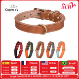 Leather Dog Collar Padded Pet Collars Adjustable Dog Collar Strong& Durable for Small Medium Dogs Pet Shop Bulldog Bull Terrier