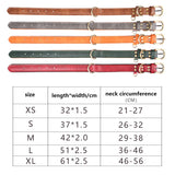 Leather Dog Collar Padded Pet Collars Adjustable Dog Collar Strong& Durable for Small Medium Dogs Pet Shop Bulldog Bull Terrier