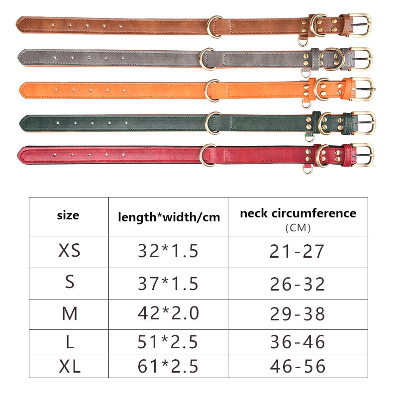 Leather Dog Collar Padded Pet Collars Adjustable Dog Collar Strong& Durable for Small Medium Dogs Pet Shop Bulldog Bull Terrier