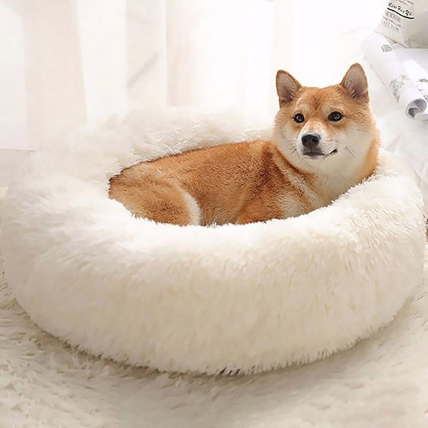 The Calming Plush Bed